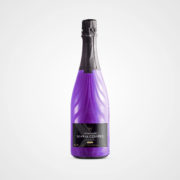 Bouteille colibri violet
