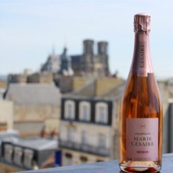 champagne-rose-cathedrale1